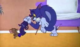 猫和老鼠视频,一场欢乐的追逐战